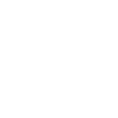 Light bulb icon