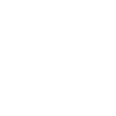 Security guard icon